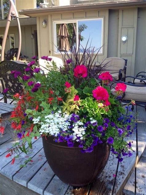 40 Best Ornamental Grasses For Containers (36) | Container flowers, Container garden design