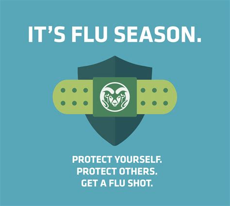 Flu season is here: protect yourself and others