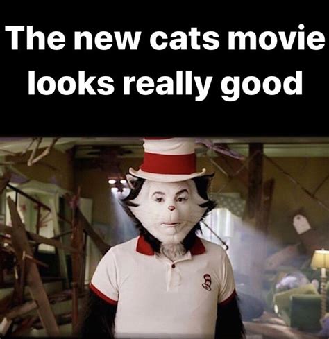 The “cats” in the hat : r/dankmemes