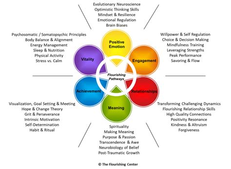 What is Positive Psychology? – Northbound