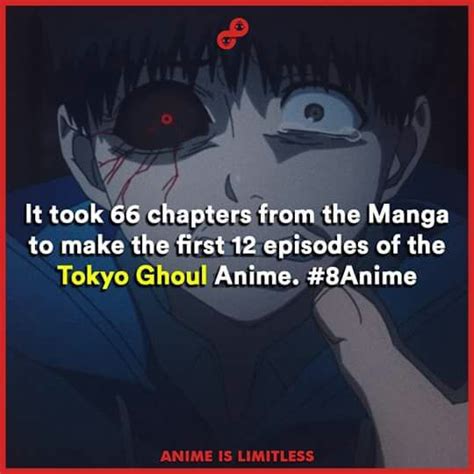 Anime Fun Facts | Anime Amino