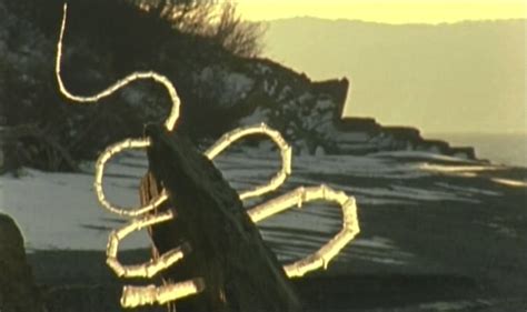 Andy Goldsworthy Rivers And Tides