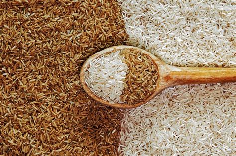 Rice vs Wheat – Which is Healthier? - NamKalam