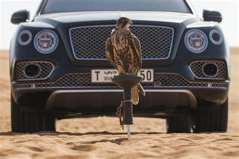 Bentley Bentayga Falconry Heats Up The Desert