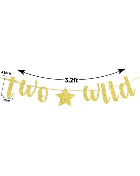 Gold Two Wild Banner- Happy 2nd Birthday Banner- 2nd Birthday Party Decoratons- 2nd Birthday ...