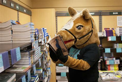 Palo Alto College's mascot, Pal the Palomino Photo-6743450.91877 - San ...