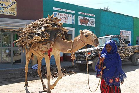 The No-Nonsense Guide to Ethiopia: Jijiga