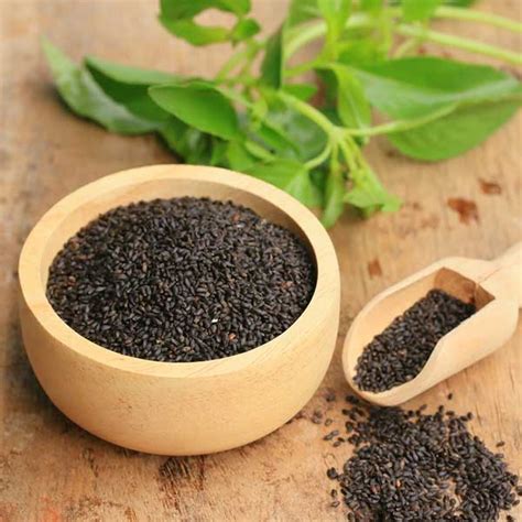 Basil Seeds – Neo Natural Industries