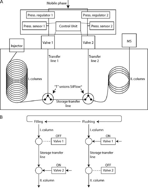 (A) Schematic diagram of the GC × GC system setup equipped with pulsed ...