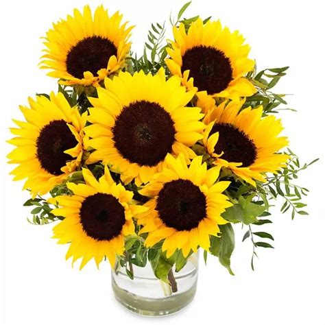 Bouquet of Sunflowers