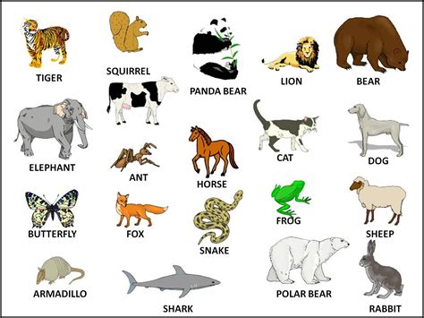 All Animals Name In English Pdf - newhopehailie