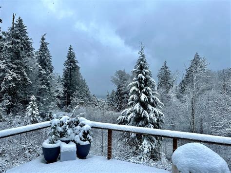 Photos: Western Washington snow on Dec. 20, 2022 photo 12