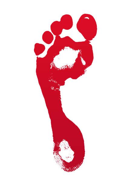 Bloody Footprints Illustrations, Royalty-Free Vector Graphics & Clip Art - iStock