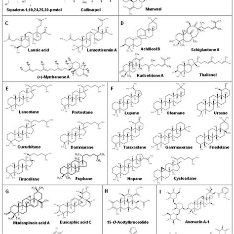 Triterpene biosynthetic pathway. Triterpenes produced from farnesyl... | Download Scientific Diagram