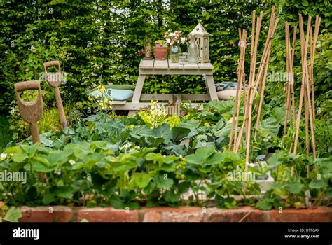 Small kitchen garden hi-res stock photography and images - Alamy