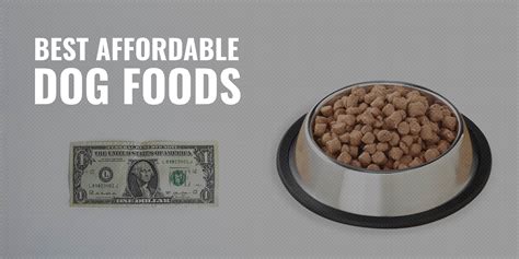 26 Most Affordable Dog Foods – Cheaper Moist, Dry & Freeze-Dried Foods