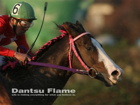 Japanese Horse Racing.. - XciteFun.net