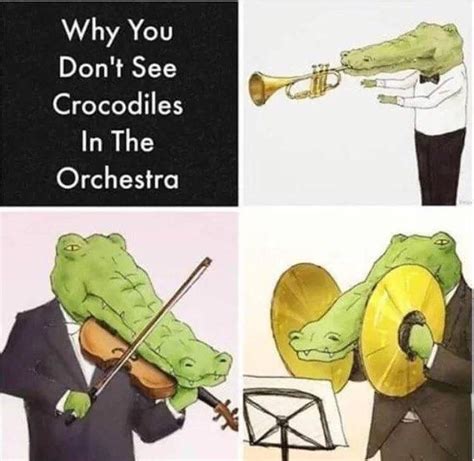 Crocodiles struggle in band class. | Orchestra, Memes, Best funny pictures