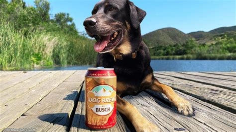 Busch Creates A Special 'Beer' For Dogs, Because Fido's Earned A Cold ...