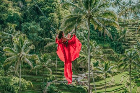 Bali Swing, Tegalalang Rice Terrace and Ubud Centre