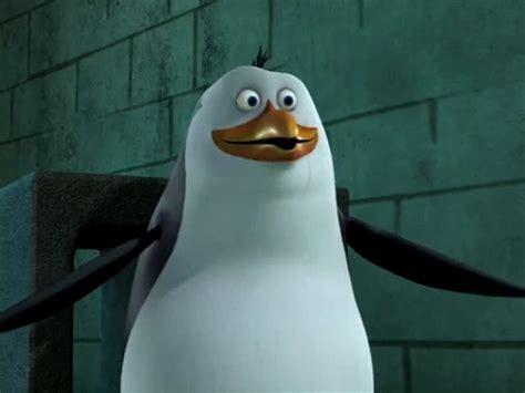 Rico or Roger ??? - Penguins of Madagascar Photo (26849956) - Fanpop