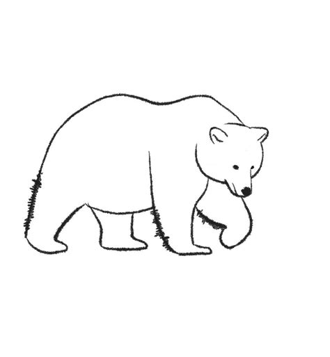 How to Draw a Grizzly Bear Easy Step by Step | Bear sketch, Bear ...