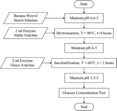 Starch Hydrolysis Stages | Download Scientific Diagram