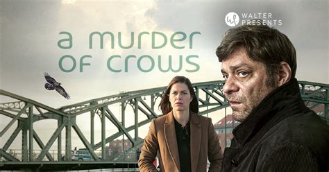 Watch A Murder of Crows | Full Season | TVNZ OnDemand