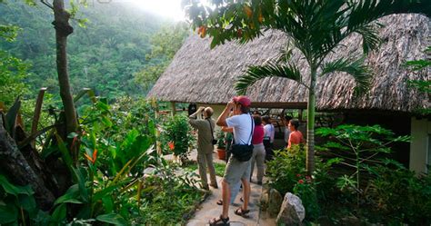 Top 4 Jungle Lodges In Belize | TropixTraveler