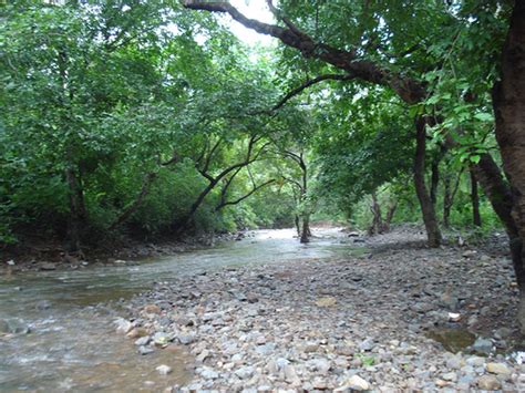 Review: Tungareshwar: Temple and Waterfall - Vasai, Thane