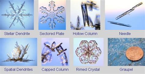 A few types of snowflakes, from Pennsylvania State University, College of Earth and Mineral ...