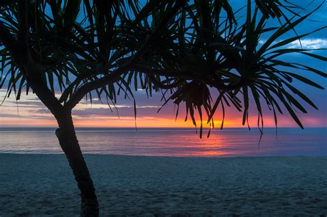 1920x1080 Tree Beach Seashore Summer Laptop Full HD 1080P ,HD 4k ...