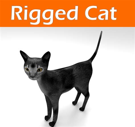 cat rigged 3d model