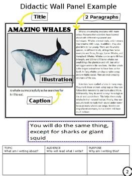 Wit & Wisdom 3rd Grade Module 1 Didactic Wall Panel Packet Editable