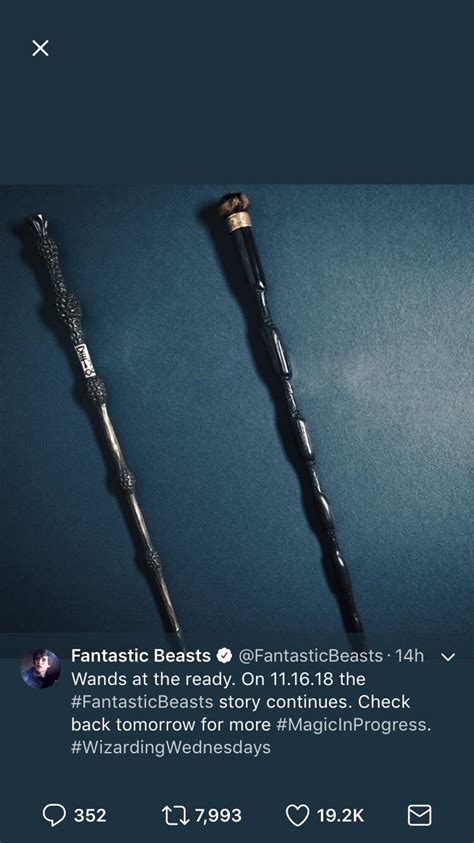 Did anyone notice the two wands? The first one is of Dumbledore’s, the ...