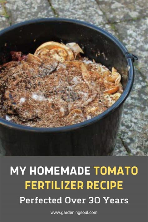 My Homemade Tomato Fertilizer Recipe - Gardening Soul