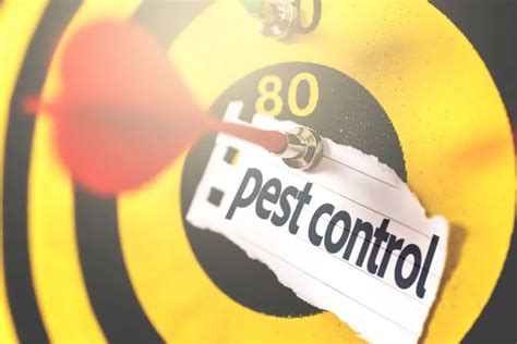 Top 17 Eco Friendly Pest Control Products And Methods