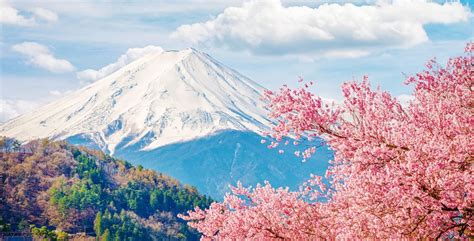 Circuit en liberté : Découvertes incontournables au cœur du Japon ...