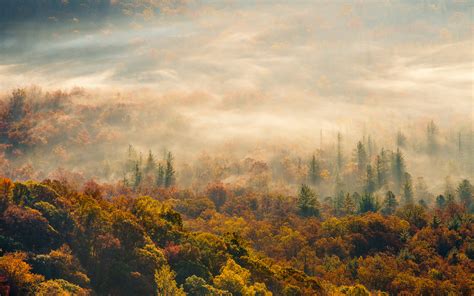 nature, Landscapes, Hills, Fog, Mist, Haze, Trees, Forest, Color, Autumn, Fall, Seasons, Scenic ...