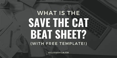 Save The Cat Beat Sheet For Screenwriters [+ FREE Template]