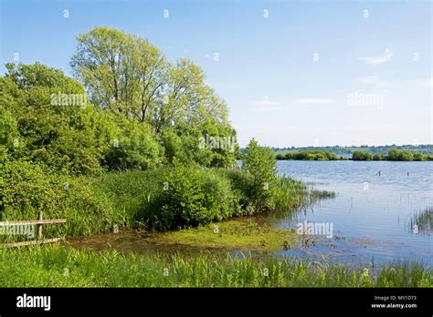 Rutland Water nature reserve, Rutland, England UK Stock Photo - Alamy