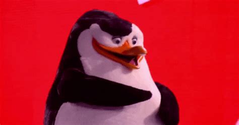 Cute Penguins Gif