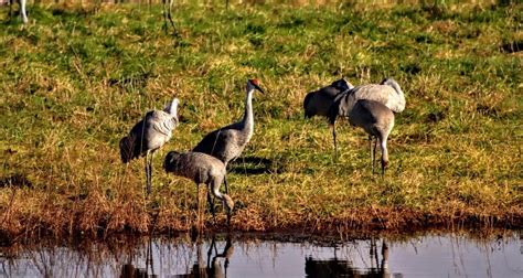 Wheeler National Wildlife Refuge - Go Wandering