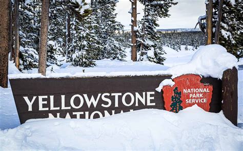 Multi-day Winter Expedition through the Heart of Yellowstone | Eco Tour Adventures