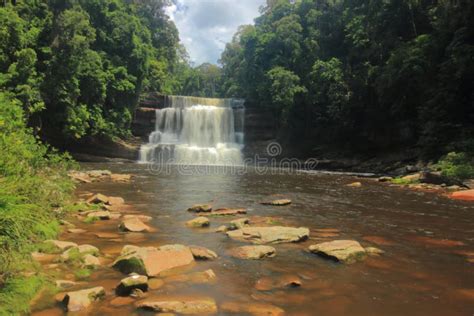 Maliau River with Maliau Falls in Maliau Basin Conservation Area. Stock Photo - Image of river ...