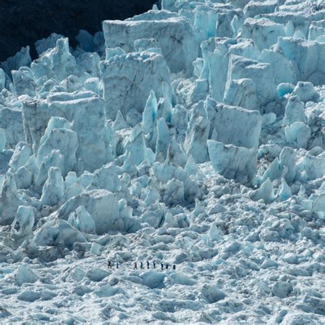 Explore The Photo Gallery | Franz Josef Glacier Guides