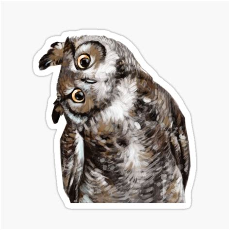 Owl Stickers | Redbubble