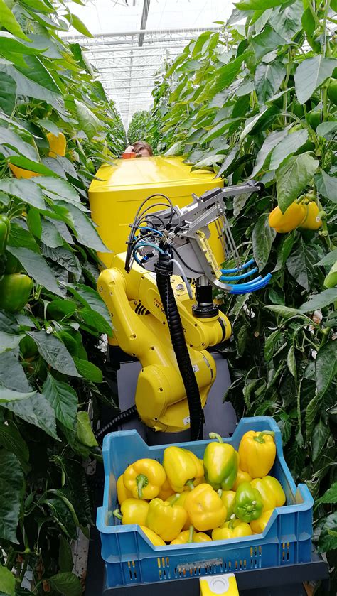 Towards automated harvesting - Agri Machines World