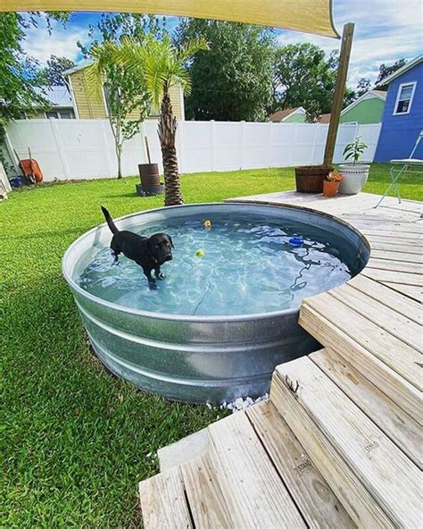 How To Create Awesome Dog Pool In Low Budget | Housetodecor.com