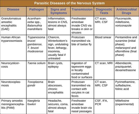 26.4: Neuromycoses and Parasitic Diseases of the Nervous System | Medical technology ...